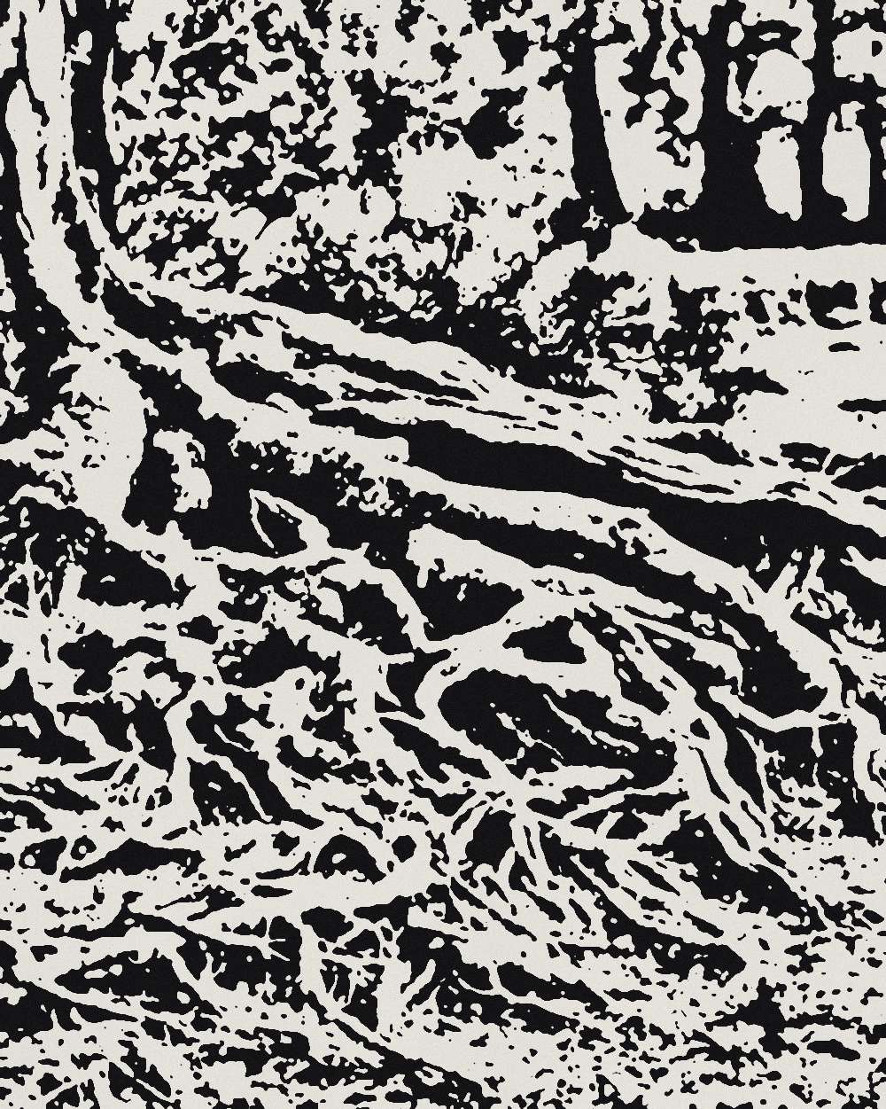 Estampa en tinta de las raíces de un árbol sobre un sendero
