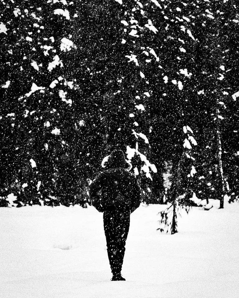 Figura de espaldas ante pinos cubiertos de nieve