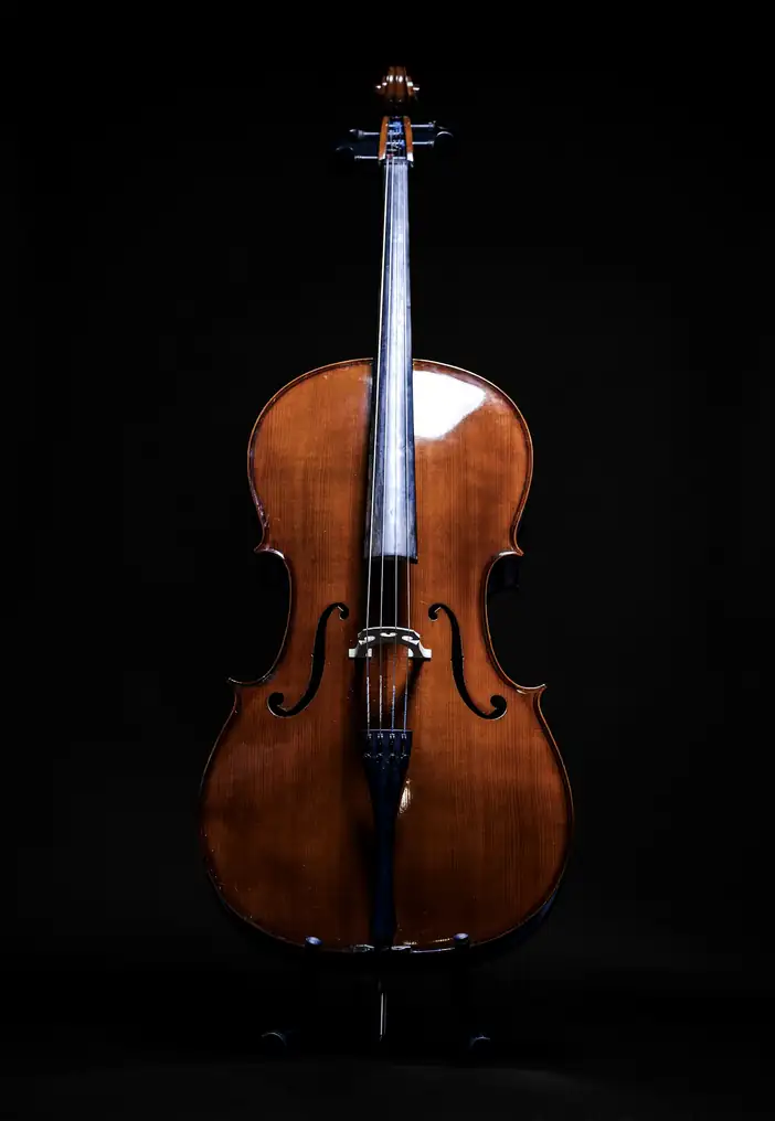 Violonchelo de pie sobre un fondo oscuro