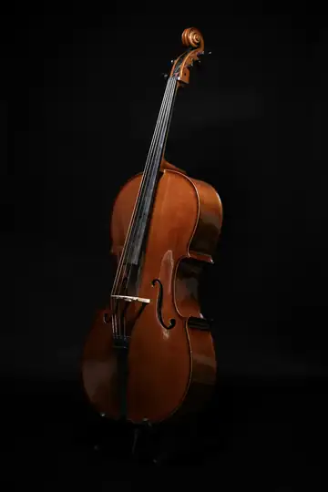 Violonchelo ladeado sobre un fondo negro