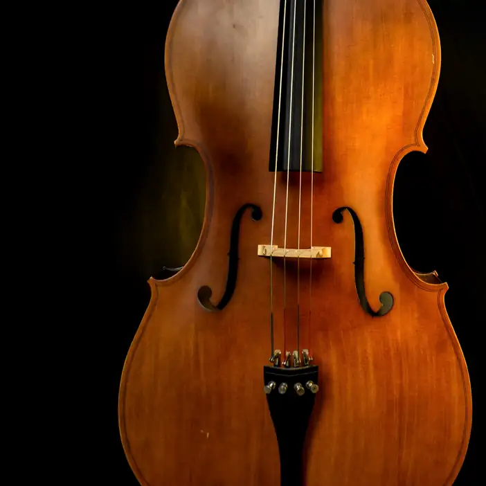 Cuerpo de un violonchelo con sus efes, sobre un fondo negro