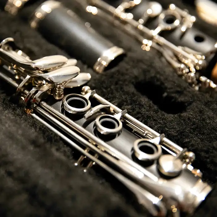 Clarinete sobre terciopelo negro dentro de su estuche